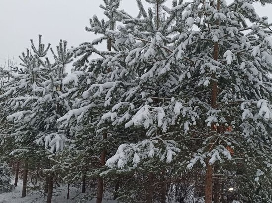 Синоптики озвучили погоду в Орловской области на 23 февраля