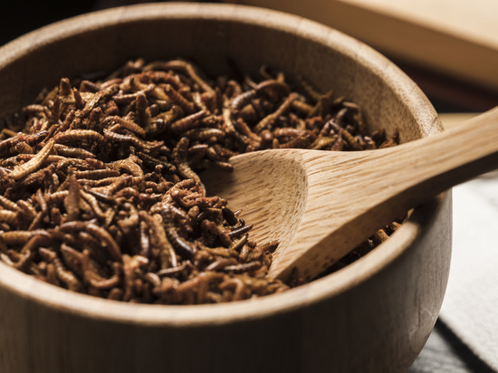 Германия: В каких продуктах можно найти домового сверчка и других насекомых