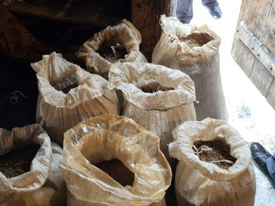В Красноярском крае сельчанин заготовил 29 кг марихуаны