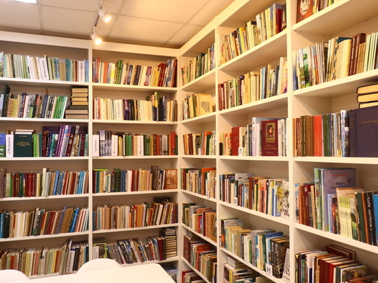 Более тысячи новых книг: в этом году в Липецке появится модельная библиотеке