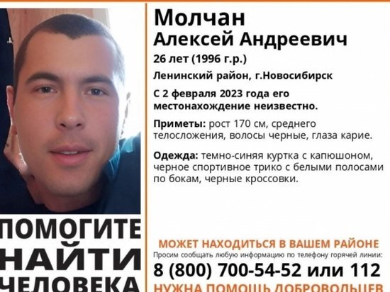 В Новосибирске 26-летний мужчина уехал кормить собаку и пропал