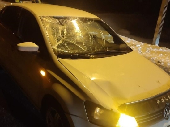 Иномарка сбила пешехода на брянской трассе в Дубровском районе