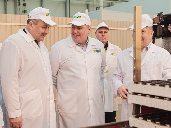 Белорусские аграрии посетили АО «Тепличное»