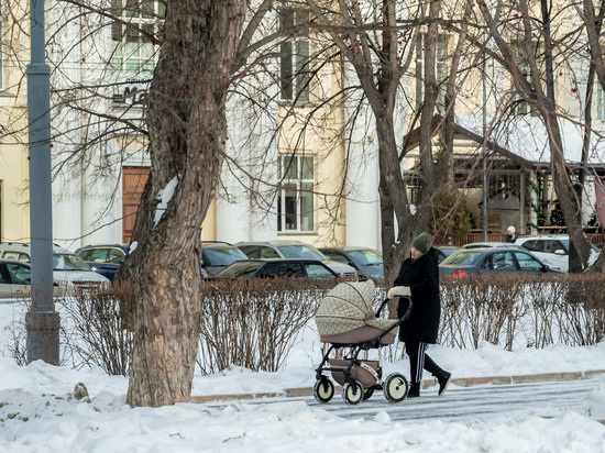 Челябинский омбудсмен оценила озвученные в послании президента социальные приоритеты