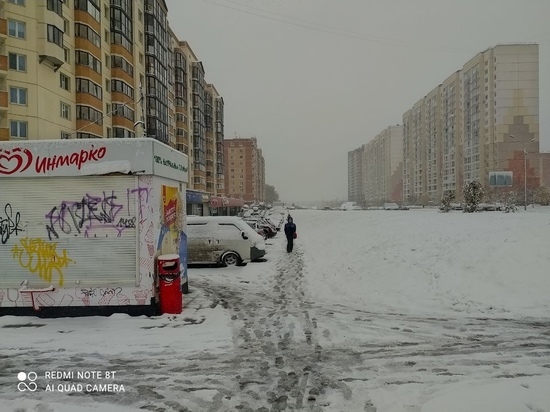 В МЧС предупредили жителей Новосибирска о метели и шквальном ветре