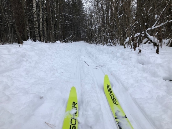 Лыжники спортшколы «Витязь» посоревнуются в финале IV зимней Спартакиады молодежи