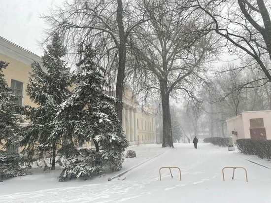 В ночь на 23 февраля в Рязанской области ожидается до -21 градуса