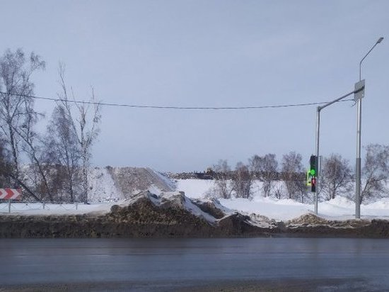 Жители Новосибирска пожаловались на мусорный полигон на Зеленодолинской