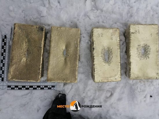 Три читинца украли 61 кг золота из машины фельдъегеря и закопали в Забайкалье
