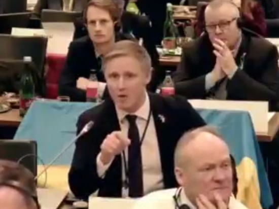 Латвийский депутат оскорбил членов российской делегации на заседании ПА ОБСЕ
