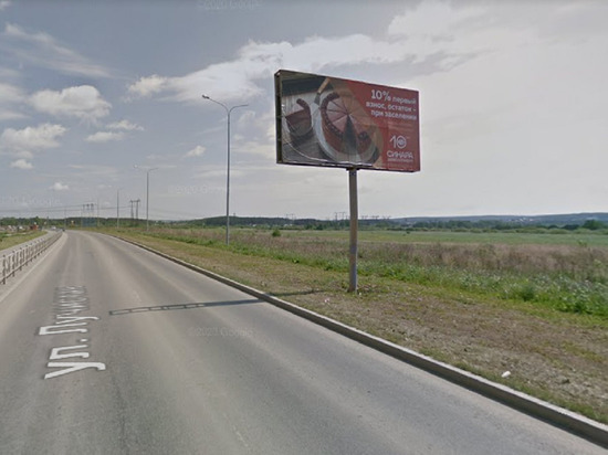 Неизвестный ранил собаку в микрорайоне Солнечный в Екатеринбурге