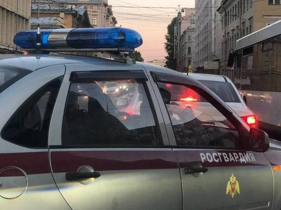 Петербургские росгвардейцы нашли 8-летнего мальчика, потерявшегося в Ленобласти