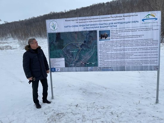 Радий Хабиров рассказал о продвижении проекта по созданию популяции зубров в Башкирии