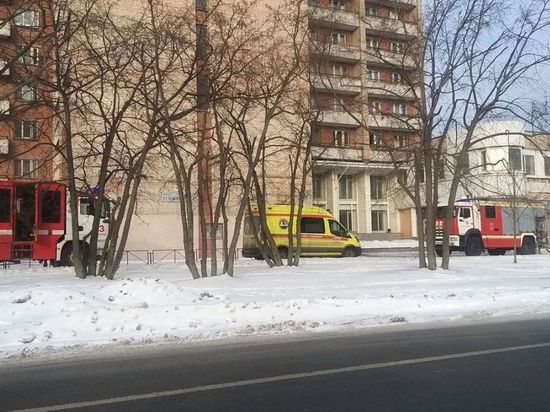 Спасатели потушили 27 пожаров в Ленобласти за 2,5 дня