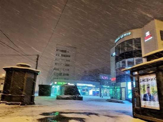 В Новгородской области пройдут мощные снегопады
