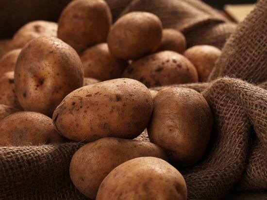 Гастроэнтеролог Атькова предупредила об опасности употребления проросшего картофеля
