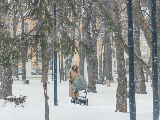 В Рязанской области выпустили метеопредупреждение из-за снегопада и метели