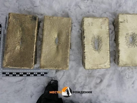 Подозреваемых в краже золота из машины фельдъегеря арестовали на 2 месяца в Чите