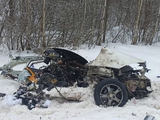 В Шимском районе при столкновении грузового и легкового автомобилей погибли два человека