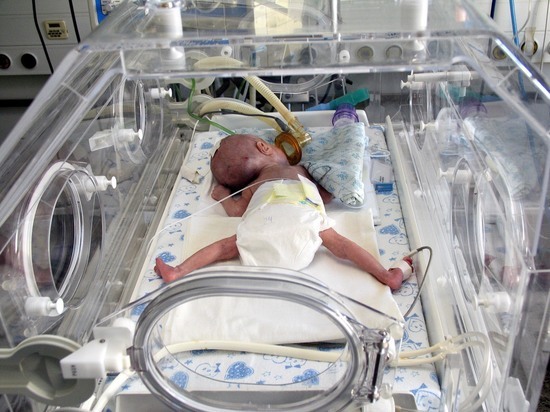 Более 500 новорожденных с экстремально низким весом спасли в Видном