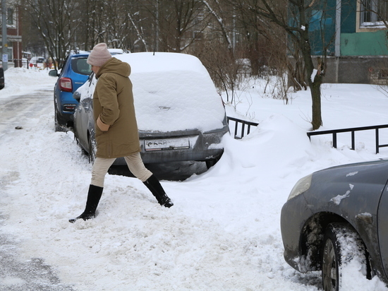 В Новгородской области 26 февраля ожидается сильный снег