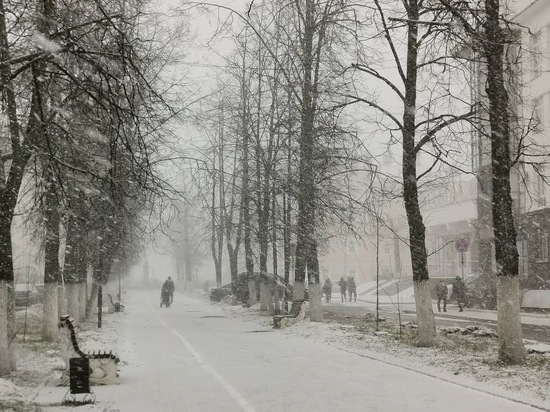 Снегопады и усиление ветра прогнозируют синоптики в Вологодской области на ближайшие дни