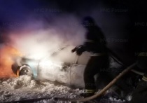 В Калужской области ночью сгорел автомобиль 