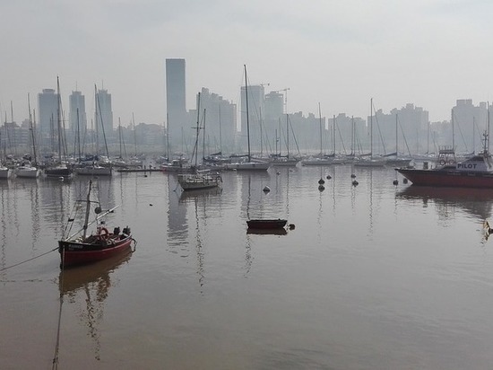 Уругвай захотел поставлять России мед и программное обеспечение