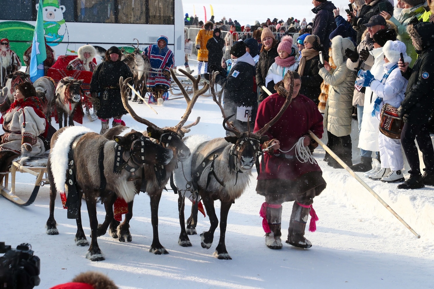 Nadym celebrated Reindeer Breeder's Day on a grand scale: photo report