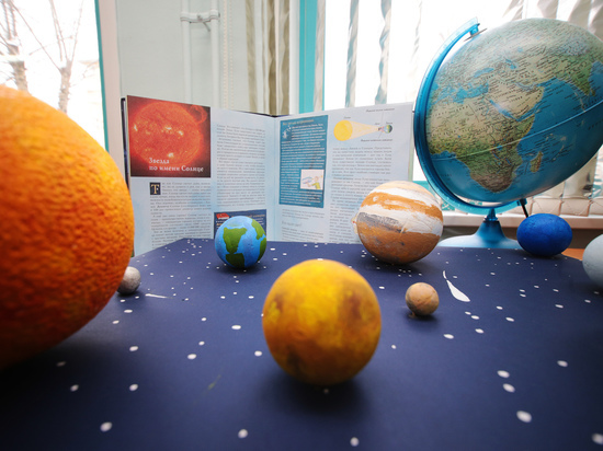 Родители школьников выступают против системы «Ладошки» в Подмосковье