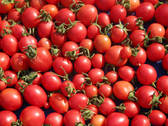 Итальянские рестораны в Британии вынуждены отказаться от помидоров