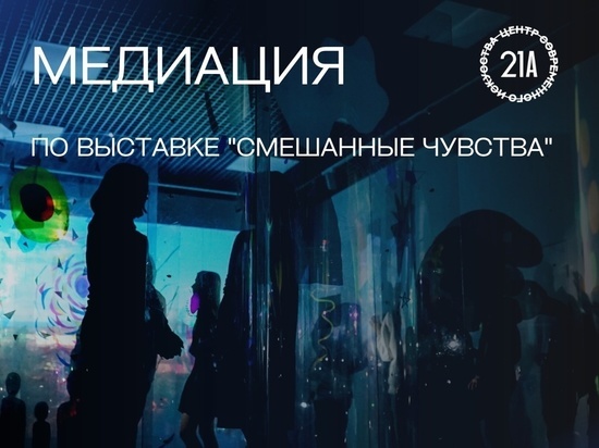 В Мурманске проведут медиацию по выставке «Смешанные чувства»