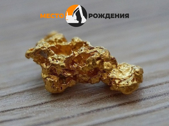 Новый инвестор ТОР «Забайкалье» займется добычей золота в Нер-Заводском районе