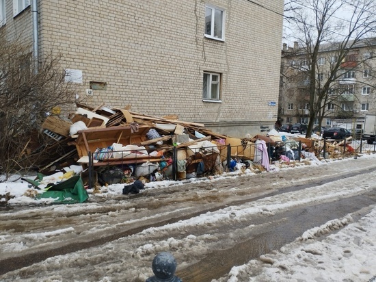 Жительница Березовой рощи в Воронеже пожаловалась на растущую мусорку
