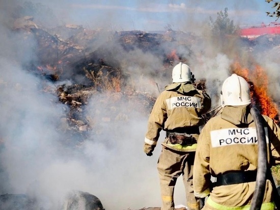 За прошедшую неделю в Калмыкии зарегистрировано 5 пожаров
