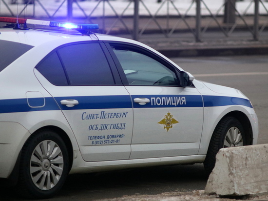 Российские полицейские 36 раз стреляли в лихача, сбившего их коллег