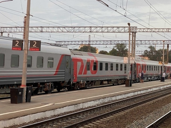Причиной остановки поездов в Рязанской области стали сообщения о минировании