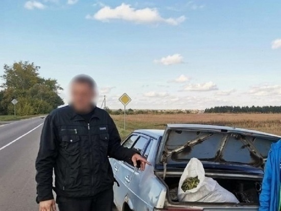 Почти 450 кг наркотиков изъяли за год в Орловской области