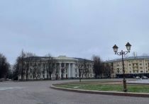 В Новгородской области 24 февраля студенческие отряды из НовГУ запустили акцию «Софийский десант»