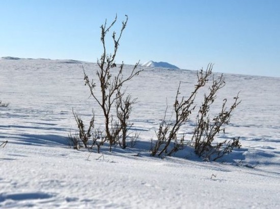 Почти сутки рядом с Анадырем искали потерявшегося водителя снегохода
