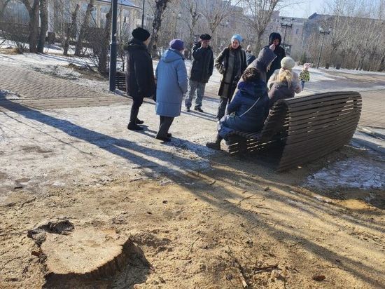 Читинцы организовали дежурства на площади Декабристов из-за вырубки деревьев