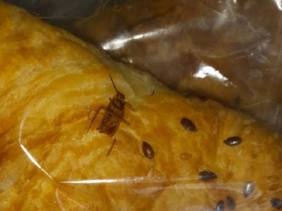 В Красноярском крае пекарня изготовила самсу с тараканами