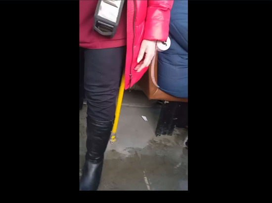 «На панель пойдет»: в Красноярске пассажиры автобуса и кондуктор отчитали школьницу, не уступившую место