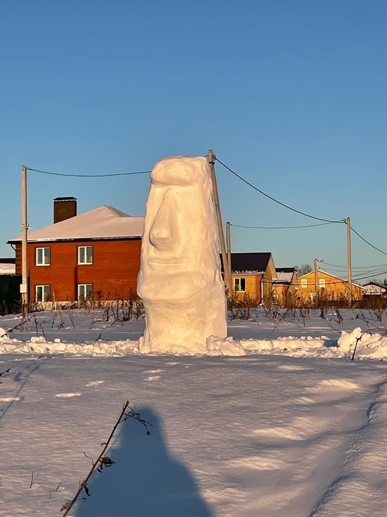 В Тверской области умельцы соорудили скульптуру под названием «Зима на острове Пасхи»