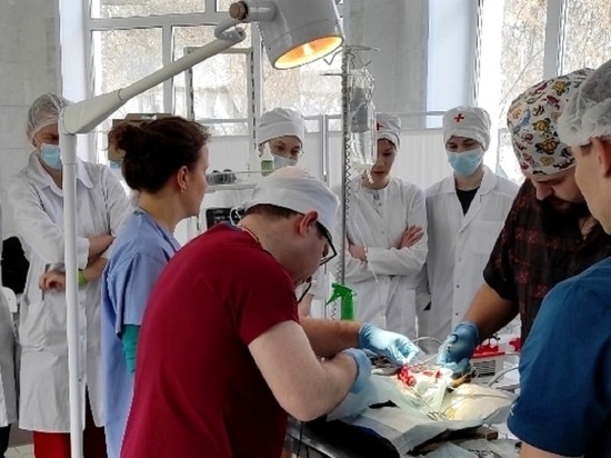 Более 300 животных бесплатно стерилизовали в УрГАУ