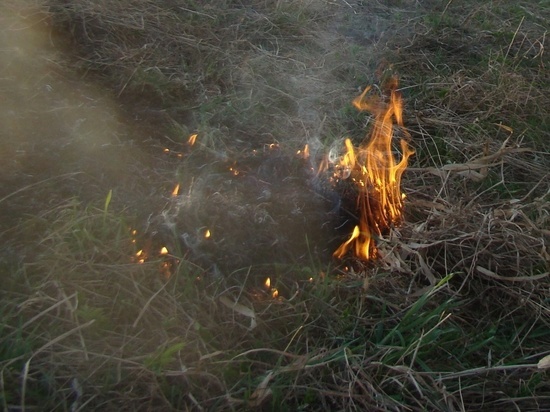 Около 200 вологодских специалистов приступили к учениям по тушению лесных пожаров