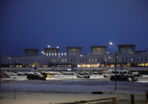 В Правительстве Санкт-Петербурга утром 28 февраля объявили о задержке рейсов в аэропорту Пулково до 12 часов