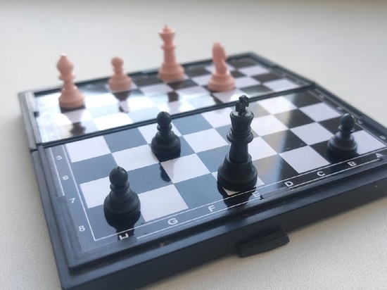 40 юных вологжан приняли участие в шахматном турнире «Ход конем»