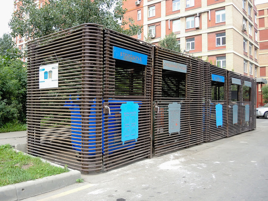 Подмосковье стало лидером в сфере экологического просвещения детей