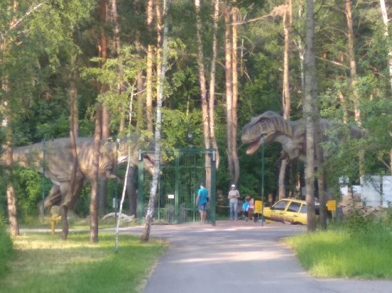 Белгородцы могут предложить свои названия для зоопарка и динопарка